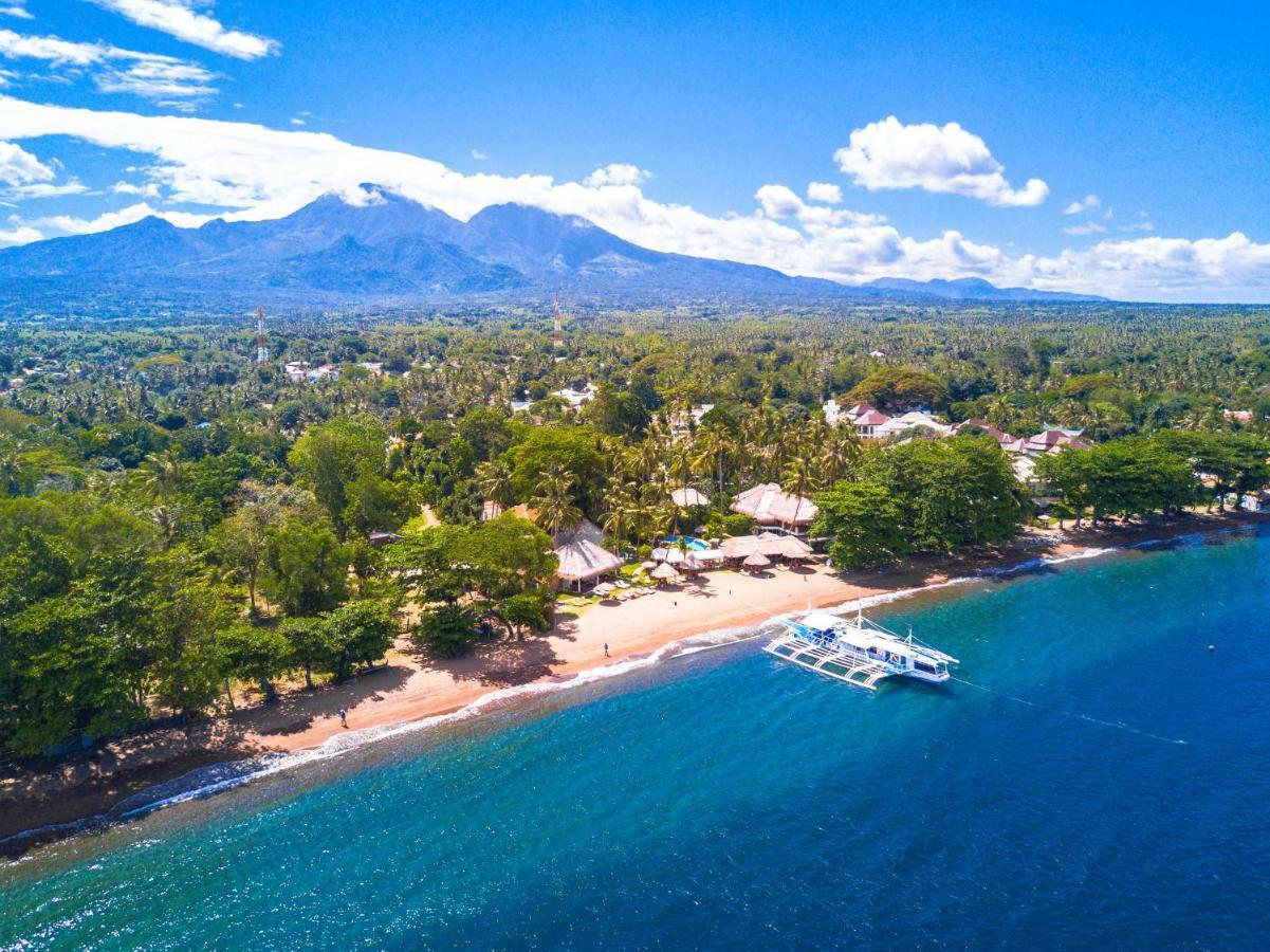 Pura Vida & Dive